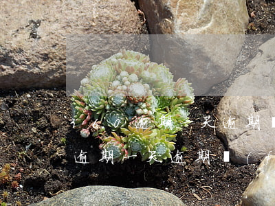 360逾期一天逾期費(fèi)用(360逾期一天逾期費(fèi)用)