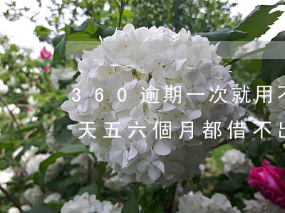 360逾期一次就用不了了(360逾期了一天 五六個月都借不出來)