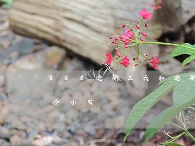 360逾期三天和逾期20天(360逾期几个小时)