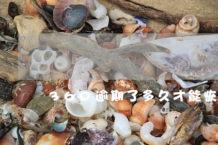 360逾期了多久才能恢復(fù)