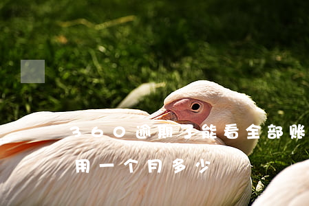360逾期了能看全部账单么 360逾期费用一个月多少