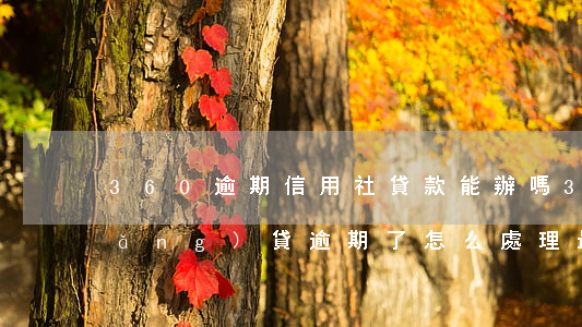 360逾期信用社貸款能辦嗎(360網(wǎng)貸逾期了怎么處理最好)