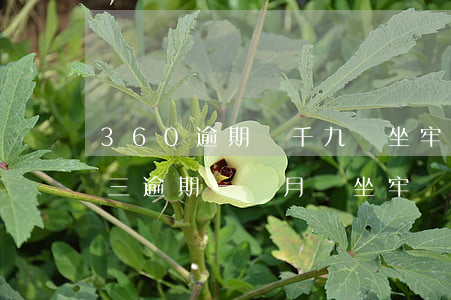 360逾期兩千九會坐牢么(360欠了一萬三逾期一個月會坐牢嗎)