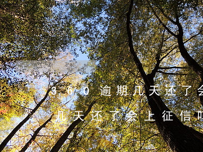 360逾期几天还了会上征信吗(360逾期几天还了会上征信吗)