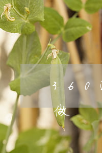 360逾期利息怎么還-360逾期的怎么做