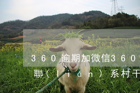 360逾期加微信(360逾期加微信說2要聯(lián)系村干部主任)