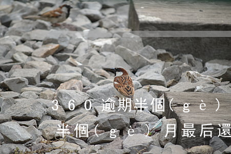 360逾期半個(gè)月起訴(360逾期半個(gè)月最后還了還會(huì)上征信嗎)