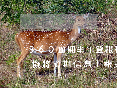 360逾期半年登報刊(360逾期兩天我司擬將逾期信息上報央)