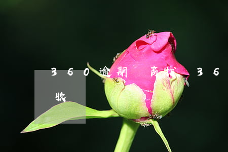 360逾期協商找誰(360逾期協商找誰催收)