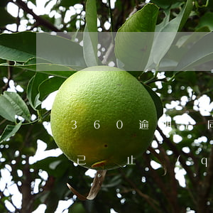 360逾期合同終止是什么意思 360合同已終止請(qǐng)及時(shí)還款是什么意思