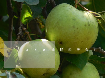 360逾期四天會(huì)怎么樣