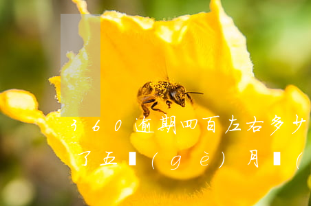 360逾期四百左右多少天起訴(360逾期了五個(gè)月現(xiàn)在每個(gè)月都有還他還起訴我)