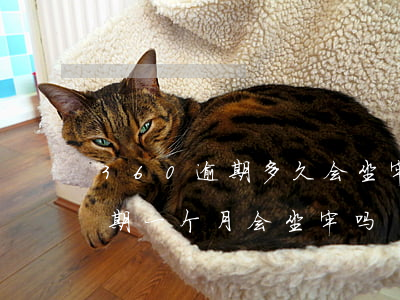 360逾期多久会坐牢(360欠了一万三逾期一个月会坐牢吗)