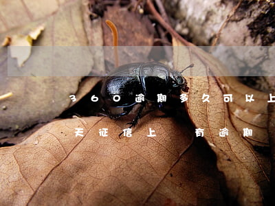 360逾期多久可以上征信-360逾期幾天征信上會有逾期記錄嗎