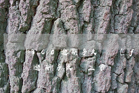 360逾期多久會發(fā)居委會 360逾期多久變正常