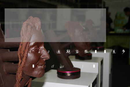 360逾期客服電話是多少（360逾期客服對(duì)話）