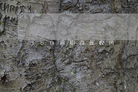 360逾期寄催收函