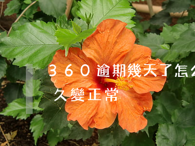 360逾期幾天了怎么辦(360逾期一天多久變正常)