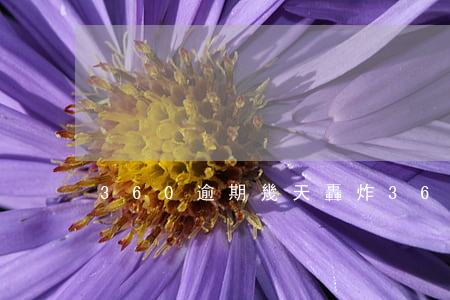 360逾期幾天轟炸（360逾期幾天轟炸）