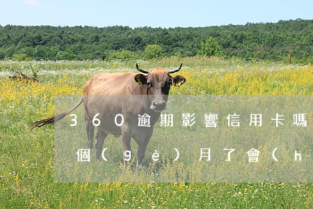 360逾期影響信用卡嗎(360金融逾期兩個(gè)月了會(huì)有什么后果?)