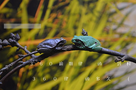 360逾期律師函郵到村委是不是真的(收到360律師函,多久會(huì)起訴你?)