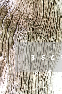 360逾期怎么上岸(360逾期幾個小時怎么消)