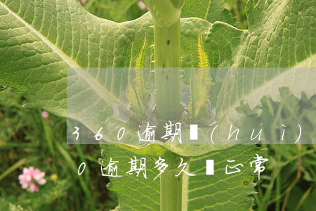 360逾期會(huì)影響支付寶嗎(360逾期多久變正常)
