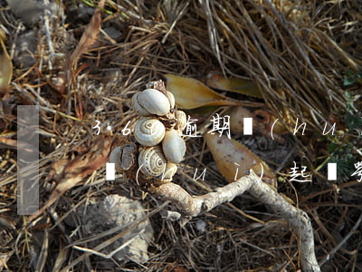 360逾期會(huì)起訴嘛(360逾期會(huì)起訴嘛)