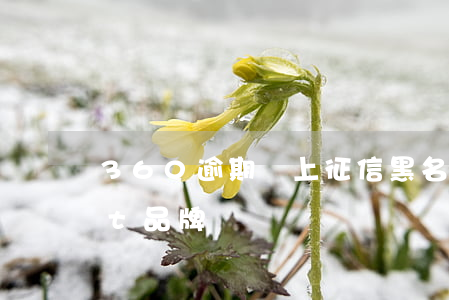 360逾期會上征信黑名單(vergamot品牌)