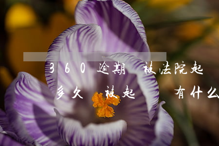 360逾期會被法院起訴么(360貸款逾期多久會被起訴會有什么后果)