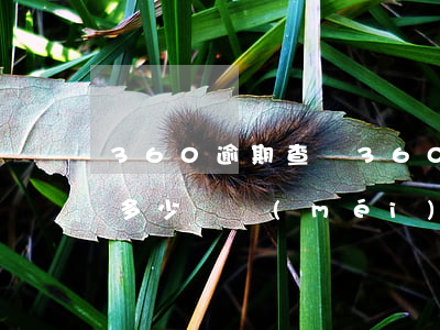 360逾期查詢(360借條逾期怎么看還有多少錢沒(méi)有還)