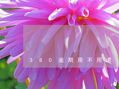 360逾期用不用還