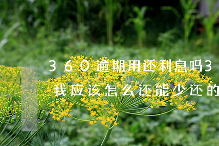 360逾期用还利息吗(360逾期费用太高我应该怎么还,能少还的办法)