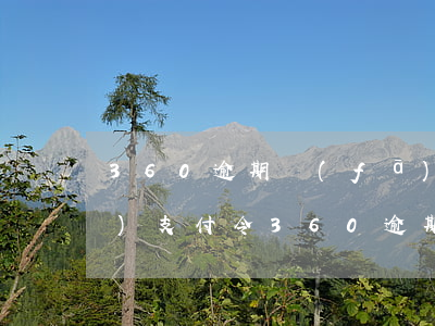 360逾期發(fā)短信申請(qǐng)支付令(360逾期發(fā)短信申請(qǐng)支付令)