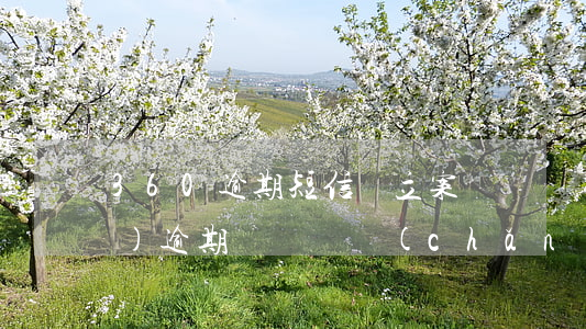 360逾期短信說立案凍結財產(chǎn) 逾期凍結財產(chǎn)的短信