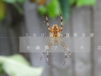 360逾期要你全部還清怎么辦(360不小心逾期了一個小時怎么還款)