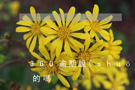 360逾期說(shuō)要寄律師函是真的嗎