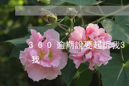 360逾期說要起訴我(360逾期說要起訴我)