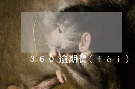360逾期費(fèi)用合理合法嗎
