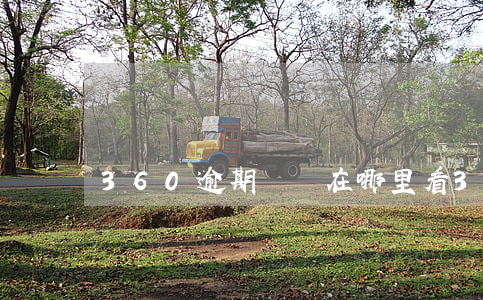 360逾期賬單在哪里看(360賬單怎么查詢)