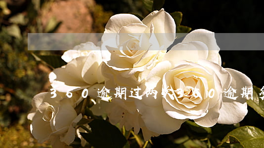 360逾期过两次 360逾期多久变正常