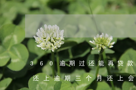 360逾期过还能再贷款吗(360欠款无法还上逾期三个月还上会怎么样吗)