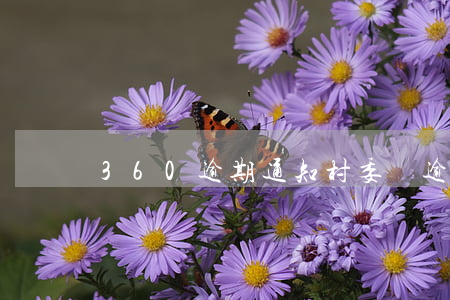 360逾期通知村委會(逾期通知村委會了)