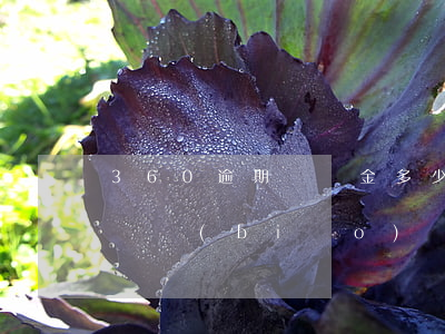 360逾期違約金多少 360逾期違約金賠償標(biāo)準(zhǔn)