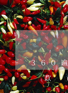 360逾期還款十天(360借條逾期10天還款,會(huì)影響下次借款嗎)