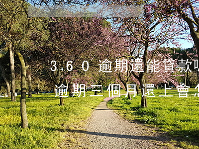 360逾期還能貸款嗎(360欠款無法還上逾期三個月還上會怎么樣嗎)