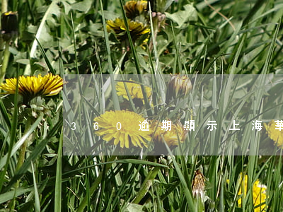 360逾期顯示上海華瑞銀行