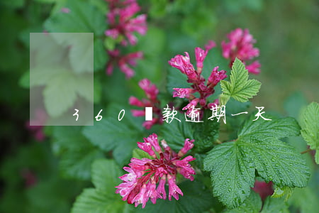 360還款逾期一天