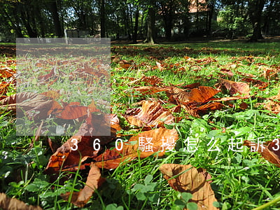 360騷擾怎么起訴(360騷擾攔截管用嗎)