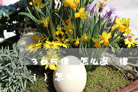 365律師怎么退錢(律師365平臺(tái)怎么樣)